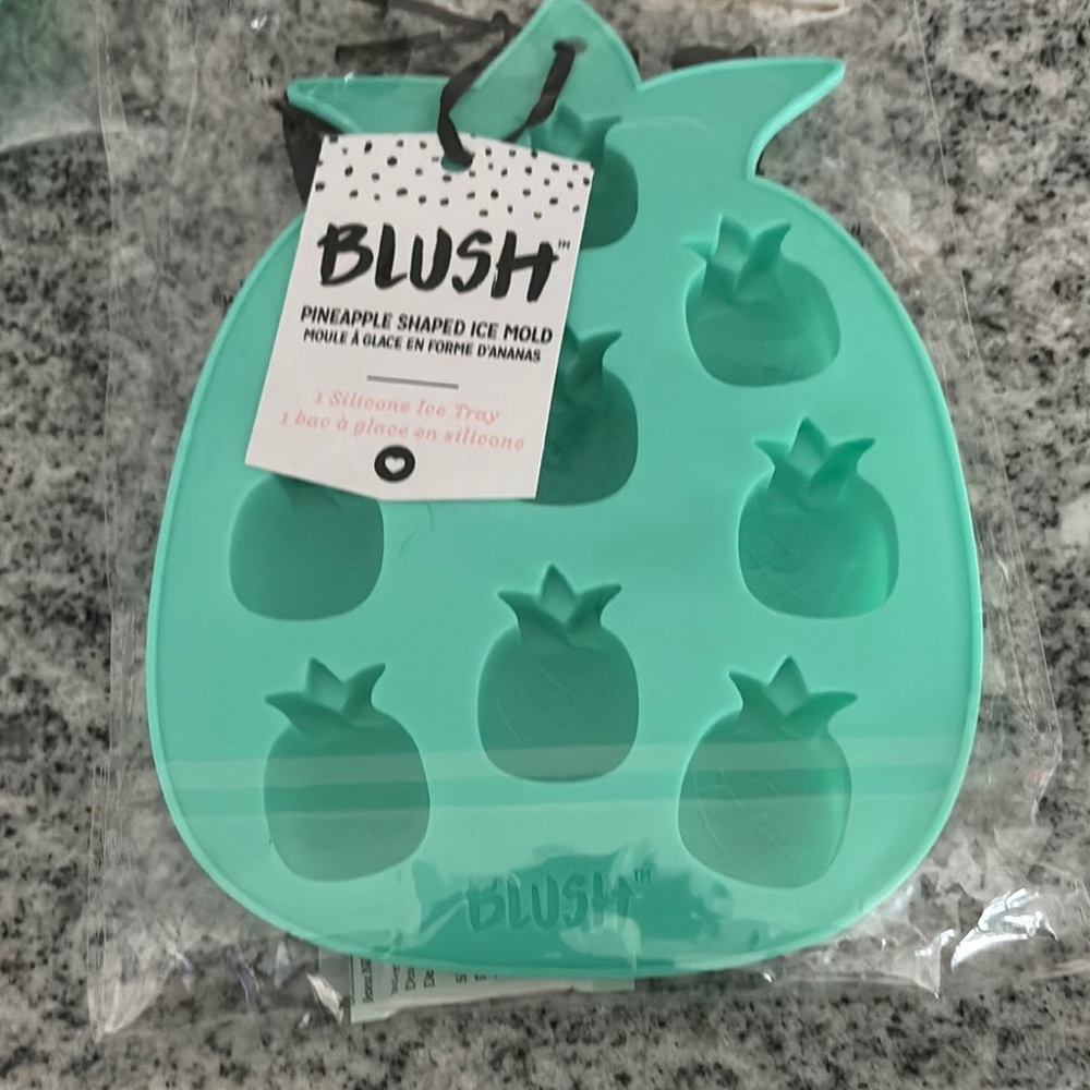 Blush Pineapple Ice Mold in Teal